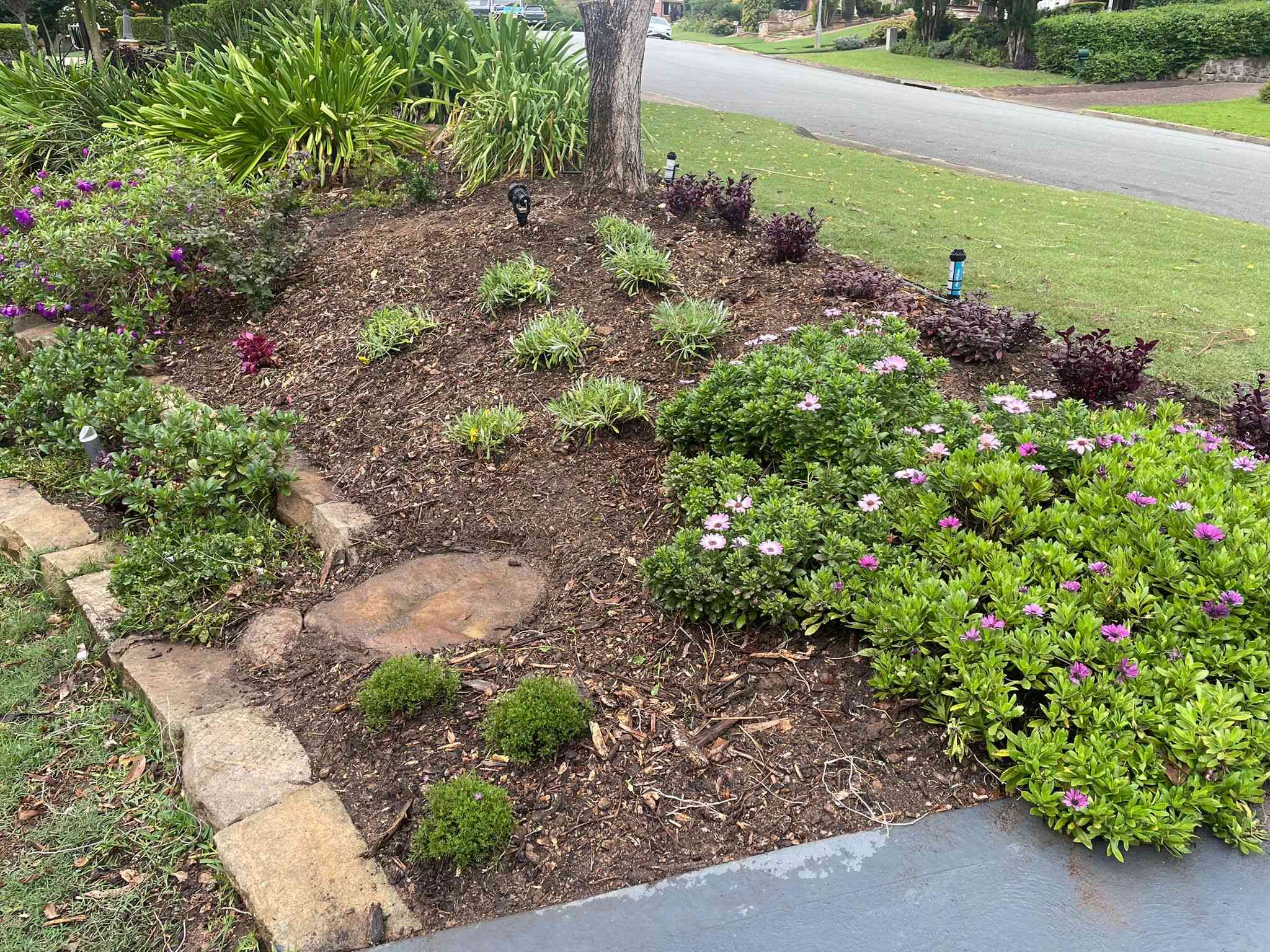 Garden Bed Spot Filling